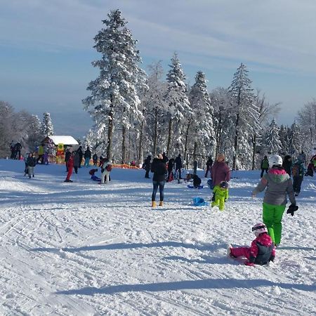 Mari 14 Apartman Maribor Kültér fotó